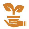 icon01